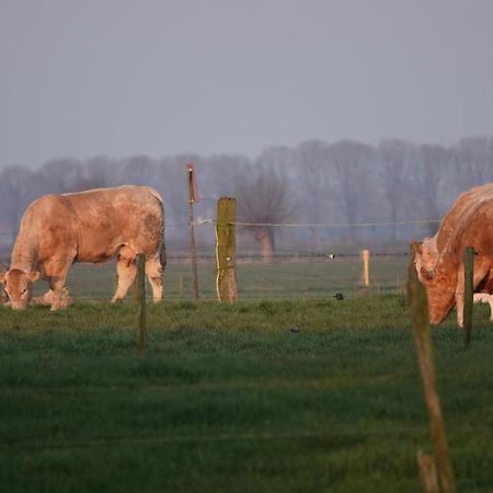 B&B Bij Bronckhorst Steenderen エクステリア 写真