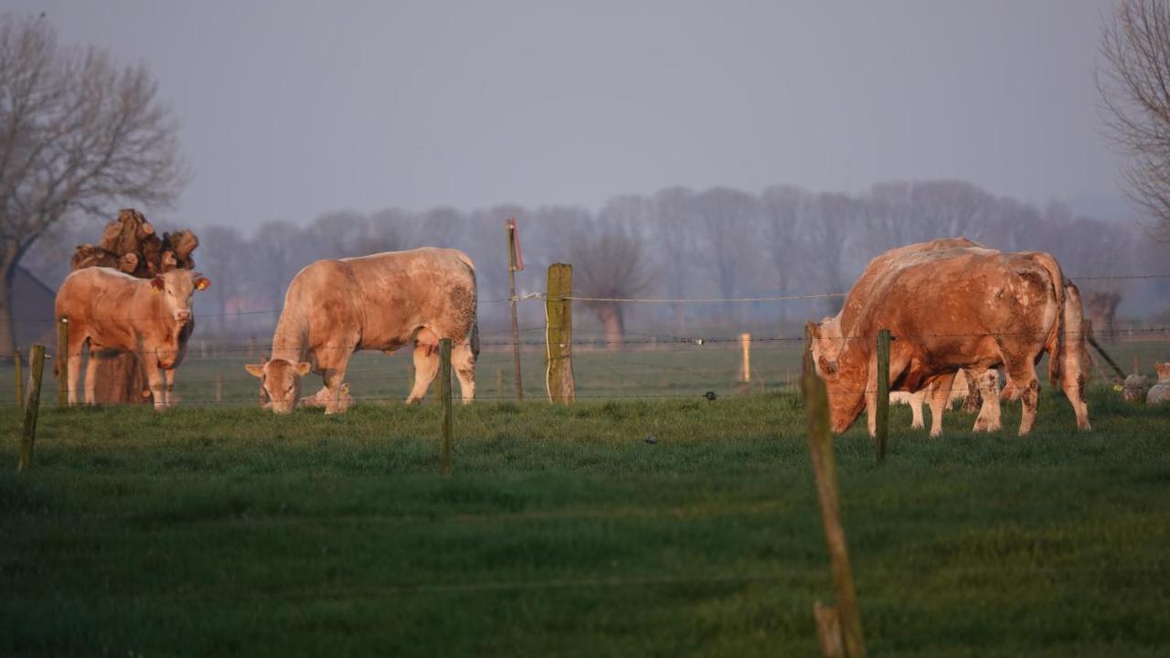 B&B Bij Bronckhorst Steenderen エクステリア 写真